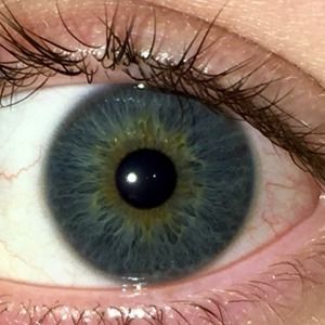 Meet your Posher, Benjamin